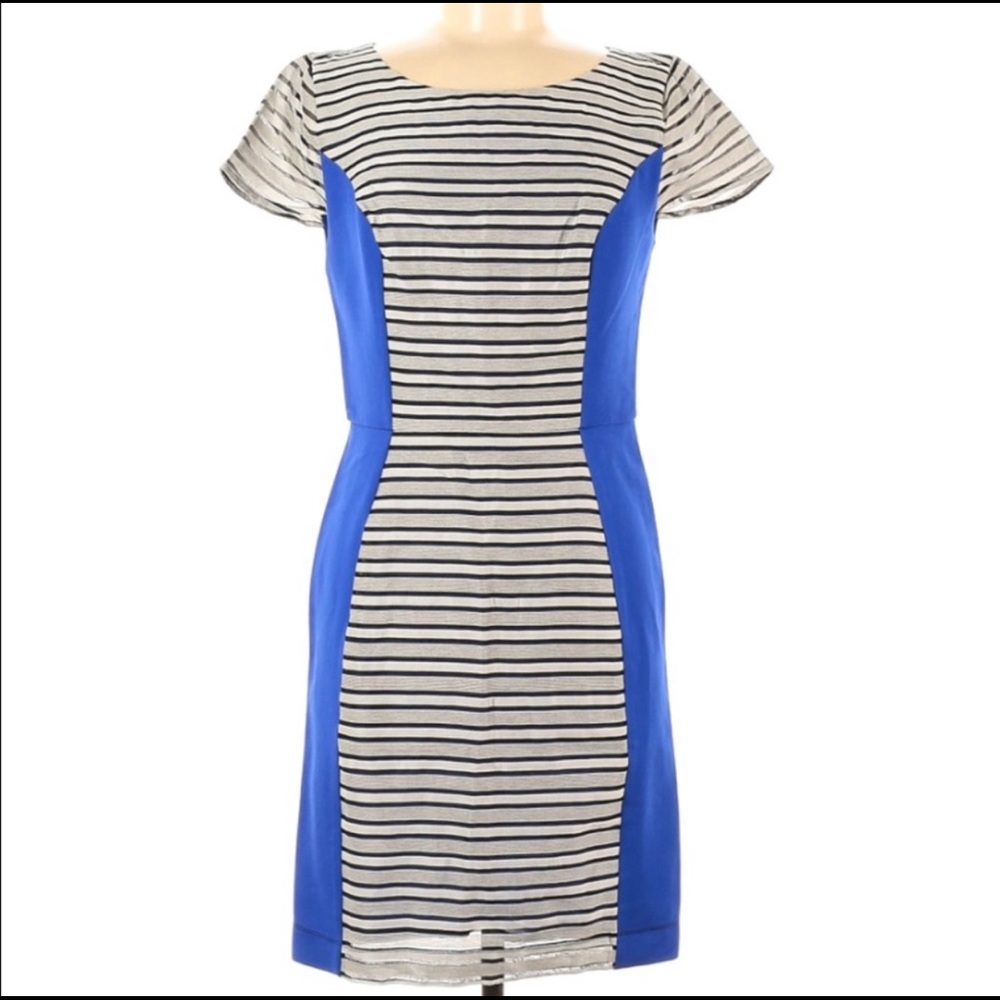 Anthropologie x Sachin Babi Dress